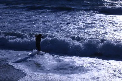 DSC_0440 (Large).JPG